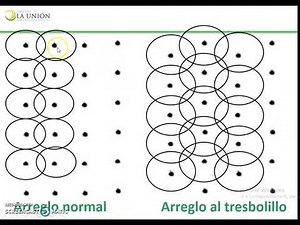 Unidad 5.4 Arreglo a tres bolillo de los aspersores