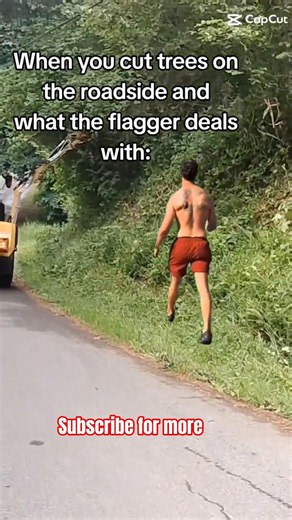 what the flagger deals with #roadwork #brushcutting #roadmaintenance #flagger #roadcrew #fyp