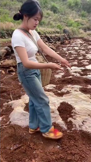 Year-Long Farming Adventures: Help Me Plant Again, or Will You Fail