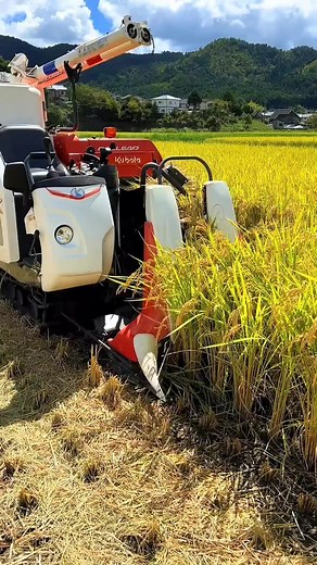 Harvesting rice with high tech machine #fblifestyle #harvesting #rice #machine | Lee Yumi