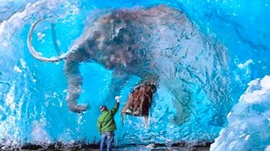 41K views · 621 reactions | 15 Prehistoric Creatures Recently Discovered | T1 Mysterious & Discovery | Facebook