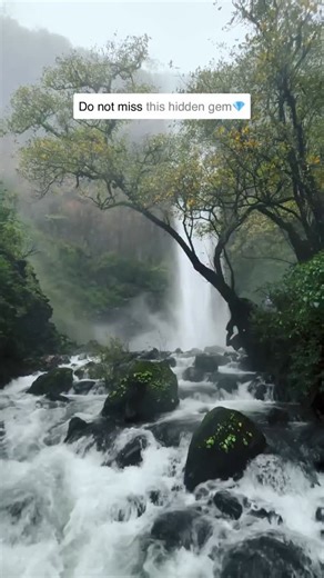 Karnataka Trends on Instagram: "LOCATION⬇️ 📍Sada falls, Karnataka Sada Waterfall is a hidden gem located near Sada village on the Karnataka-Goa border, approximately 60 km from Belagavi and about 70–75 km from Goa. To reach the waterfall, you must undertake a moderately challenging trek of around 3 to 5 kilometers, which takes about 45 minutes to an hour, involving foggy trails, rocky terrain, and multiple stream crossings. The waterfall itself plunges from an estimated height of 60 to 200 mete