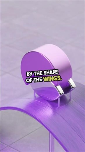 This Is How Gliders Fly Without Engines! 🤯 #Gliding