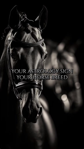 Discover Your Astrology Sign and Horse Breed Compatibility
