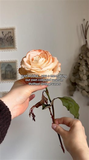How To Make Coloured Rose At Home | Food Dye Coloured Rose