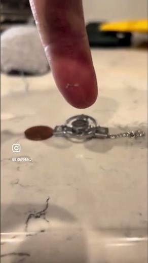 World’s smallest coil spring trap?