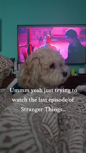 Funny Stranger Things Moments with Dogs