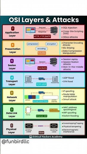 OSI Layers & Common Attacks 🧱⚠️