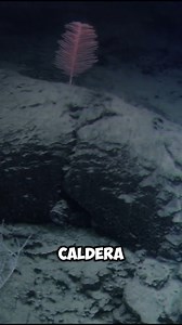 The Apolaki Caldera: Discovering the World's Largest Volcanic Crater #ApolakiCaldera #WorldsLargestVolcanicCrater #PhilippineDiscovery #JennyAnneBarretto #Supervolcano #VolcanicCraters #GeologicalWonders #PhilippineGeology #EarthScience #Volcanoes | Dose of Disbelief Page