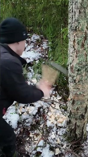 Puun kaataminen kirveellä