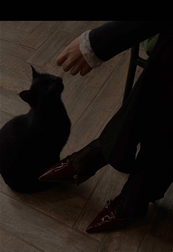 I’m sure your share of happiness will find you soon. _________________________________ voice : @byeol.talk Script: @byeol.talk _________________________________ If you decide to use my voice and scripts, but not as your whole content, please give me credit #selflove #selfcare #hapiness