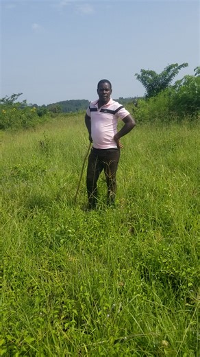 HOPE PROPERTY CONSULTANTS COMP (@hopepropertyconsultantsc)’s videos with original sound - HOPE PROPERTY CONSULTANTS COMP