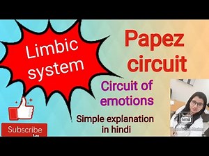 Papez circuit of emotions