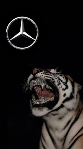 BMW vs Mercedes — Which One Is Better in 2026? 🔥 #bmwvsmercedes