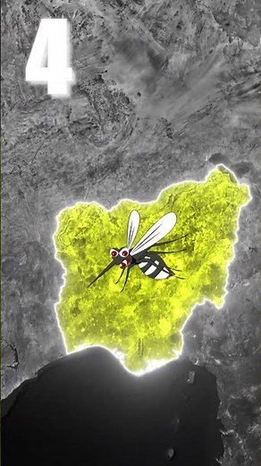 The TOP 5 Countries with the Highest Mosquito Population