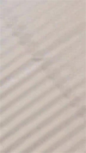 How to Unfreeze Your TikTok Account Step-by-Step