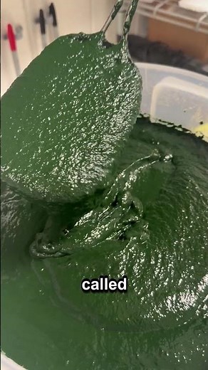The Blue Pigment Hiding Inside Green Spirulina