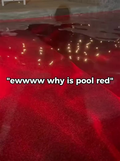 Why Is the Pool Red? Discovering the Truth Behind the Scene