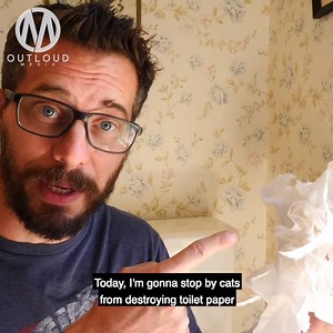 Cat Proof Toilet Paper Holder 😂🐱🚽 | Outloud Media