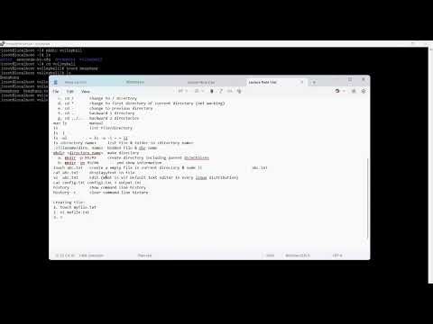 How to Use VI VIM & Nano on CentOS ( Linux )