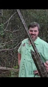 Shotgun shells matter! patterning your Shotgun! #hunting #outdoors