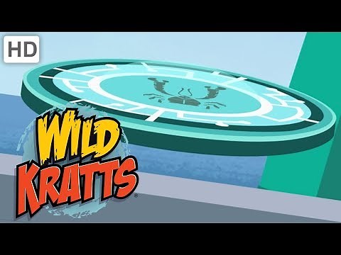 Wild Kratts - Seasquatch the Yeti Crab | Kids Videos