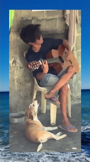 Funny Dog Howling Turns Quiet Afternoon Wild 🐶 #shorts