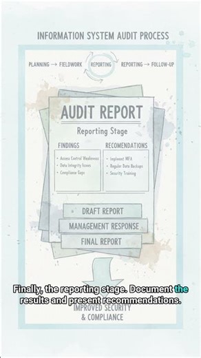 #SW 0388 - Learn About Information System Audit Procedures!