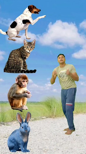 VFX Magic Gone Crazy! 🐶🐱🐵🐰 Funny Animal Adventure" | A Digital World