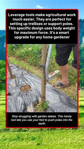 Modern Farm Tools Make Planting Stakes A Breeze