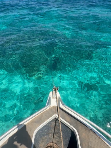 Em Lethlean on Reels