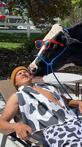 Trying to swim with Bruce! #cow #brucethecow #farm #animals #pool #horse #cow #farm #animals #horsetok #barnfind #laugh #funny #love #memes #fun #comedy #lol #meme #funnymemes #smile #live #jokes #instagood #humor #follow #memesdaily #dankmemes #happy #funnyvideos #laughing #lmao #life #instagram #like #Amazing #reelsfypシ #reelsfb #life #farmlife #farm #norway #countrylife #småbruk #homestead | Bruce The Cow