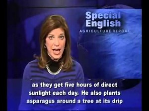 VOA learning English 2015 Part 7-Agriculture Report-Luyện Nghe Tiếng Anh Qua Tin Tức VOA