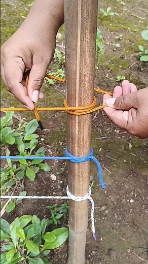 "The Most Beautiful Construction Knot You’ll Ever See!" #knot #shorts #diy