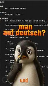 Linux Terminal manual in German?! 🤯 Here's how! | Linux Infinite #shorts
