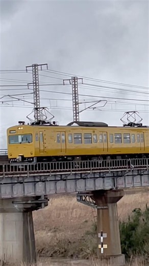 日野川を行く115系G編成