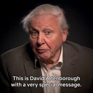 499K views · 6.9K reactions | Join our host Sir David Attenborough from 6pm on April 4th for the Royal World Premiere of Our Planet, broadcast live from the Natural History Museum (and catch 15 minutes of unseen clips from ep 1) | Netflix | Facebook