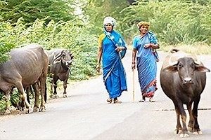 Faculty of Human, Social, and Political Science, University of Cambridge - Alchetron, the free social encyclopedia