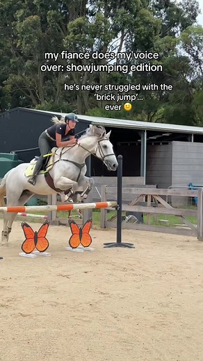 Weaknesses in Winnie’s Showjumping Training Revealed