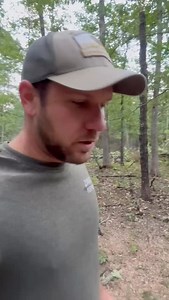 Logging and hunting strategy! So often missed but so valuable when done together! #forloveoftheland | Land & Legacy