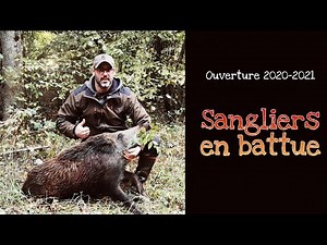 Chasse au sanglier 2020/2021 - Une belle ouverture !
