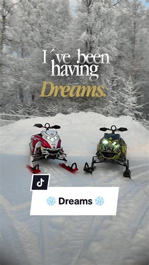 Freeride or Shredder: Choosing Your Snowmobile