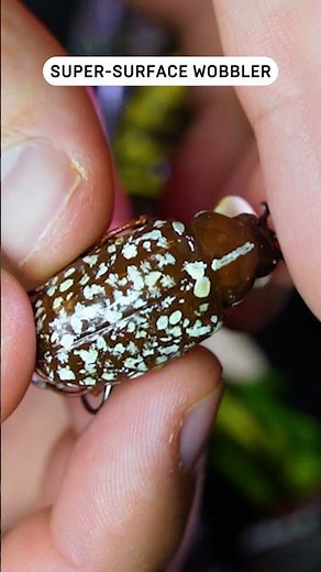 Catch MORE FISH with This Ultralight Pine Chafer Wobbler