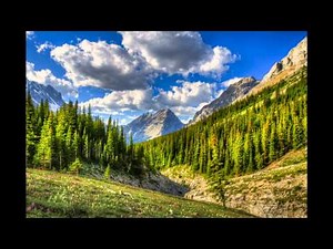 Hotel Days Inn Vancouver Metro in Vancouver (British Columbia - Kanada) Bewertung