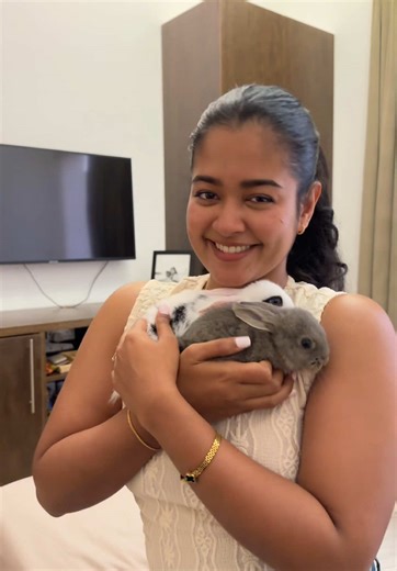 Understanding Rabbit Behavior: Episode 5 Insights