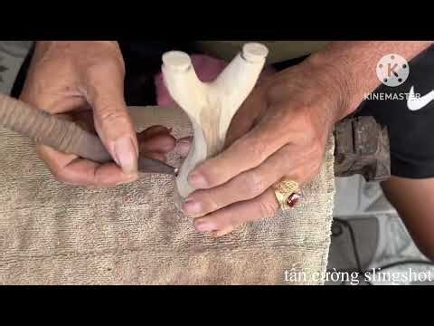 Leucaena leucocephala plant, March 17, 2026, handmade slingshot /tancuongslingshot/