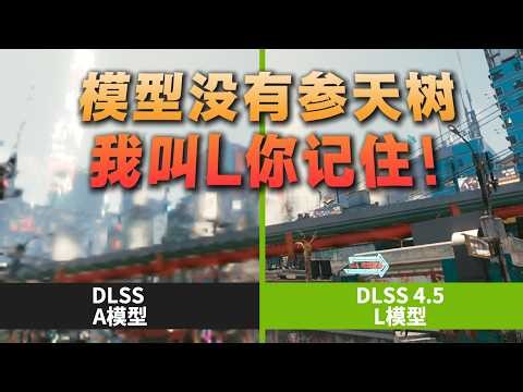 Five models! Hundreds of data sets to help you fully understand DLSS 4.5!