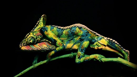 Chameleon - impressive creation - Fine Art Bodypainting by Johannes Stötter