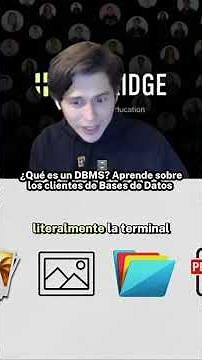 ¿Qué es un DBMS? Aprende sobre los clientes de bases de datos