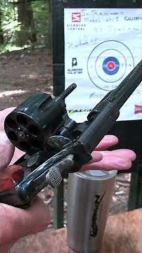 What Is .44 Special?
